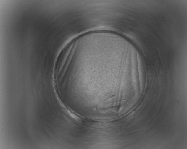 X0000067531278200604211834