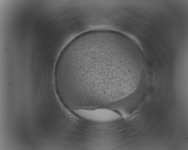 X0000067531279200604211834