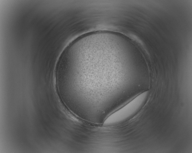 X0000067531280200604211834