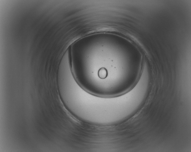 X0000067531281200604211834