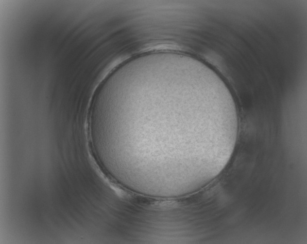 X0000067531282200604211834