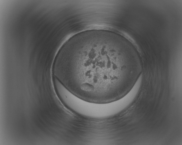 X0000067531283200604211834