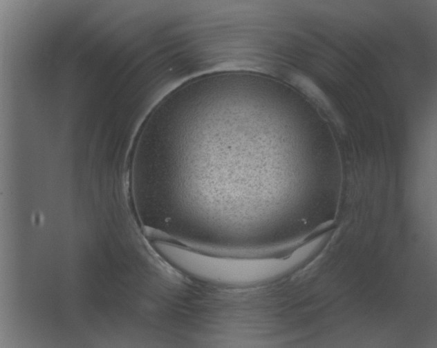 X0000067531284200604211834