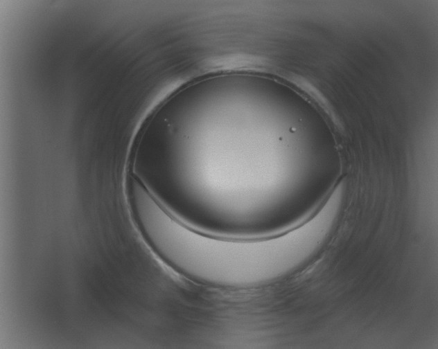 X0000067531285200604211834