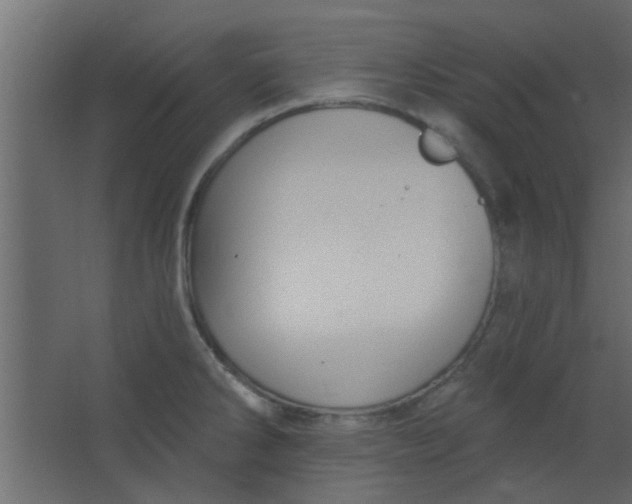 X0000067531286200604211834