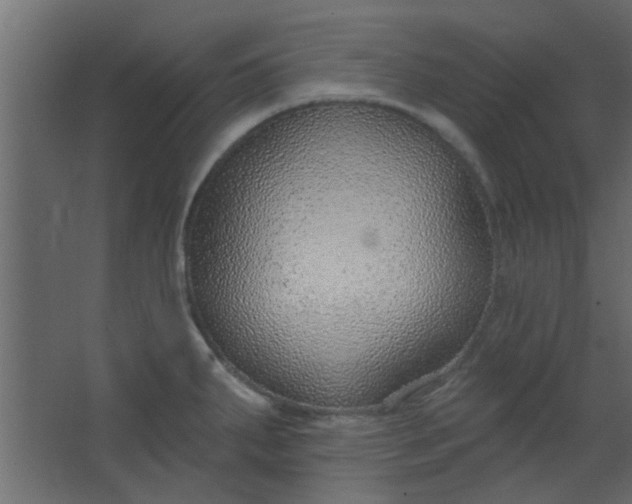 X0000067531287200604211834