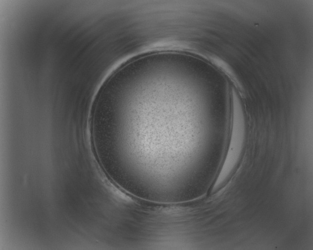 X0000067531288200604211834