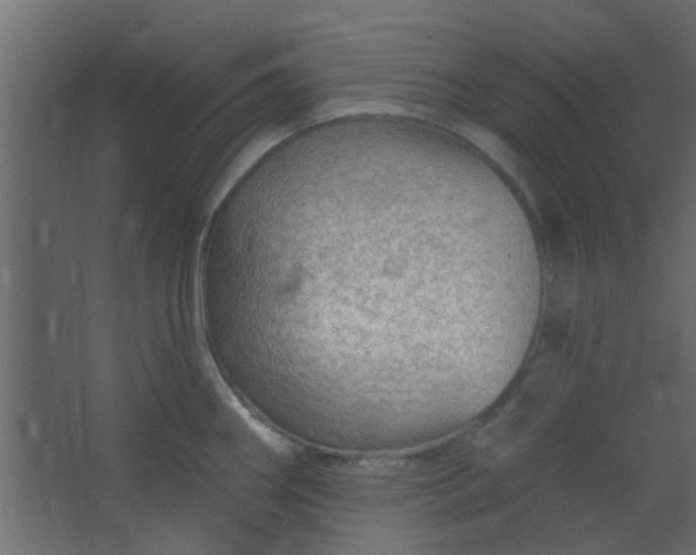 X0000067531290200604211834