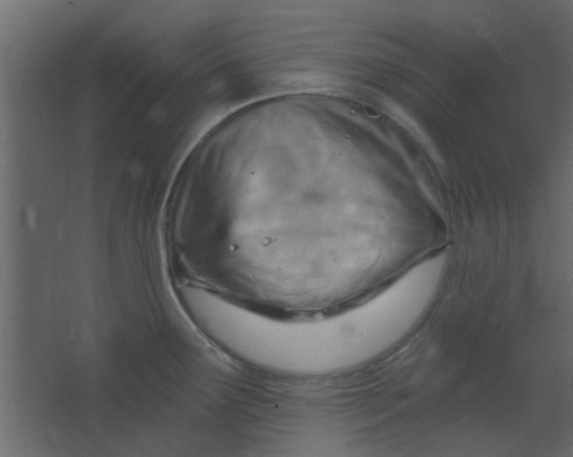 X0000067531291200604211834