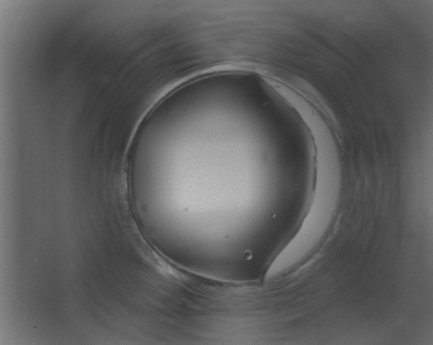 X0000067531292200604211834