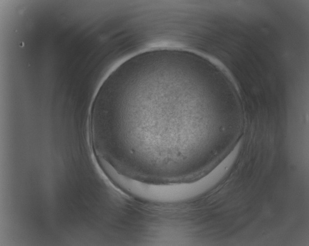 X0000067531295200604211834