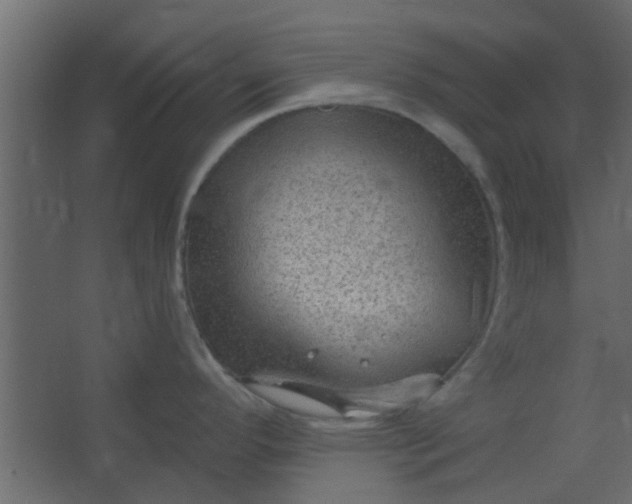 X0000067531296200604211834