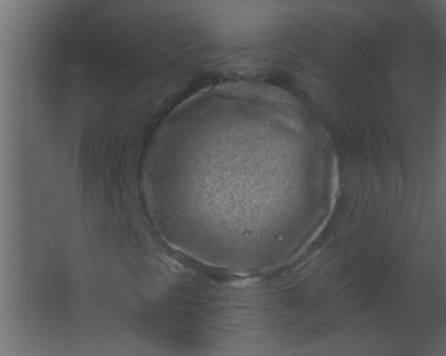 X0000067531297200604211833