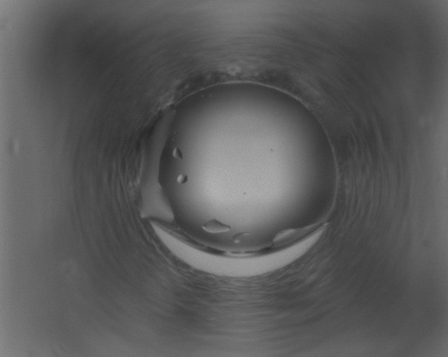 X0000067531298200604211833