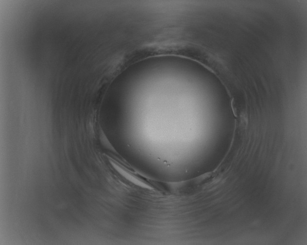 X0000067531300200604211833