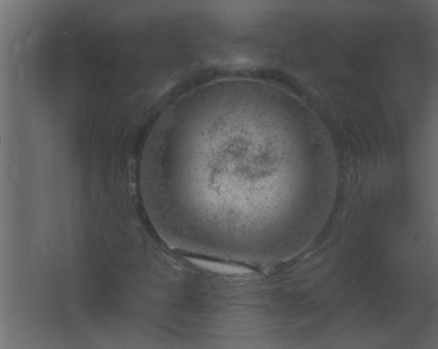 X0000067531301200604211833