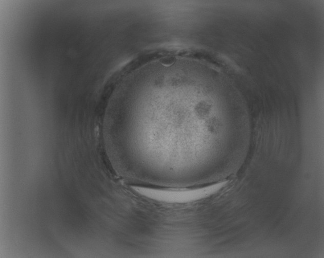 X0000067531302200604211833