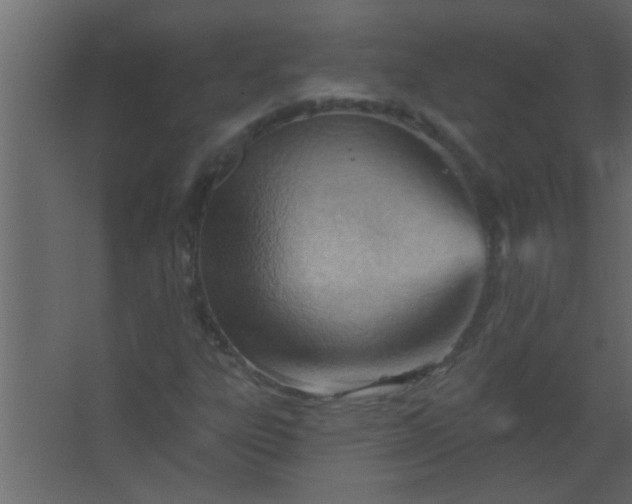 X0000067531303200604211833