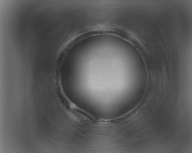 X0000067531304200604211833