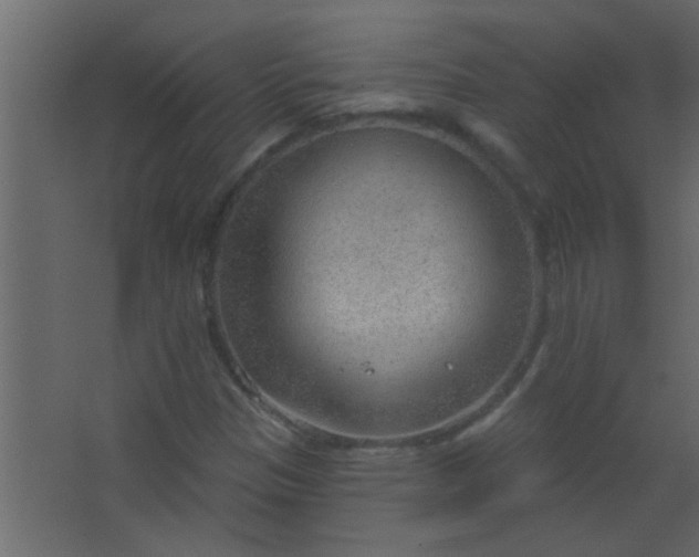 X0000067531305200604211833