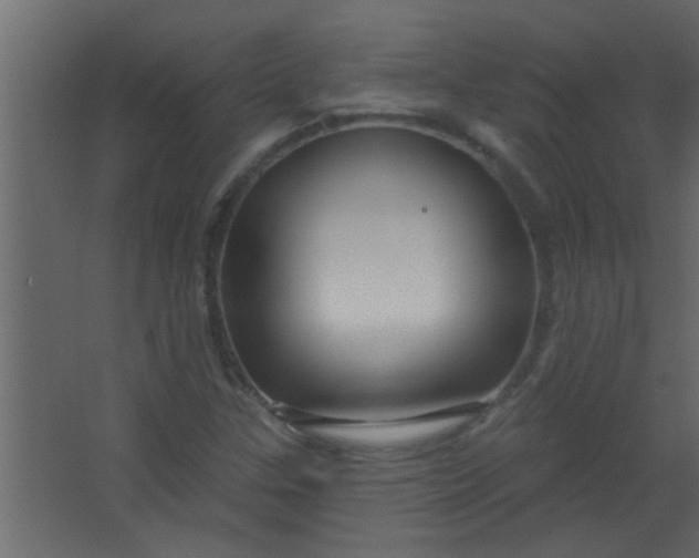 X0000067531307200604211833