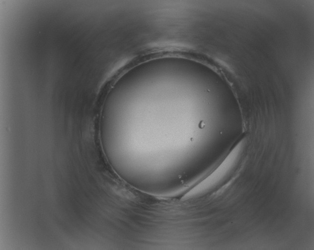 X0000067531309200604211833