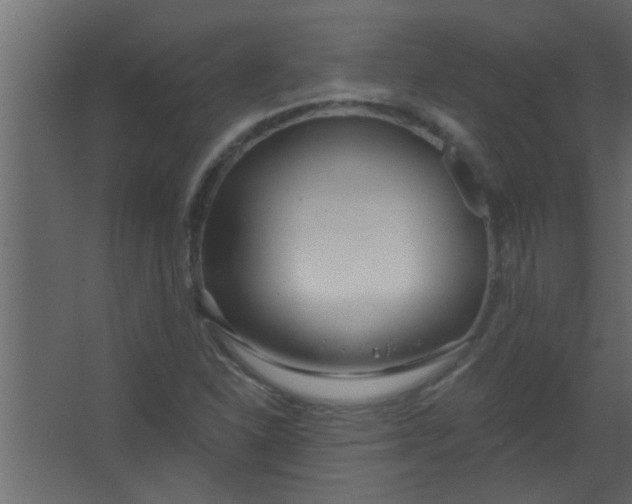 X0000067531310200604211833