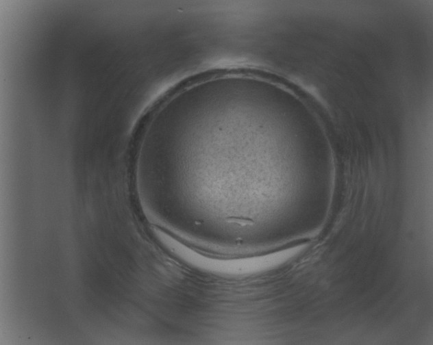 X0000067531311200604211833