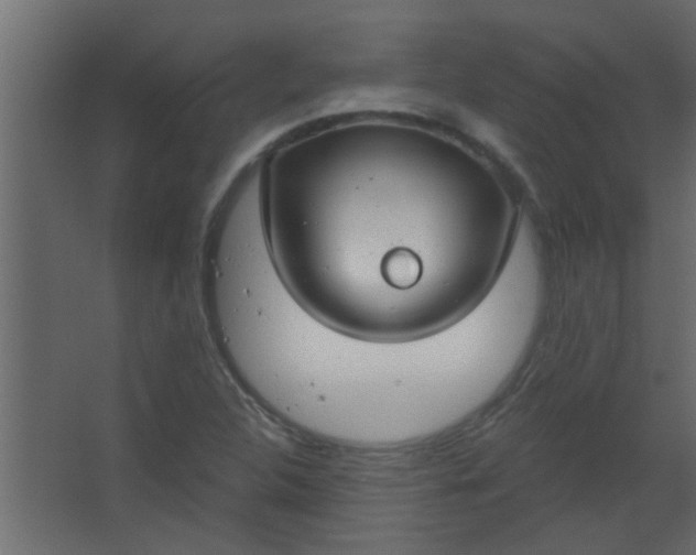 X0000067531312200604211833