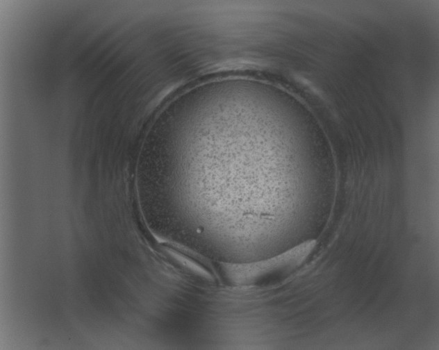 X0000067531313200604211833