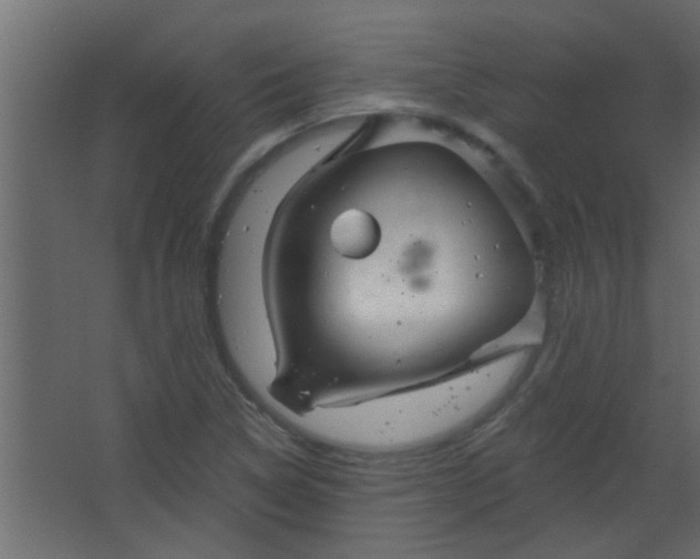 X0000067531314200604211833