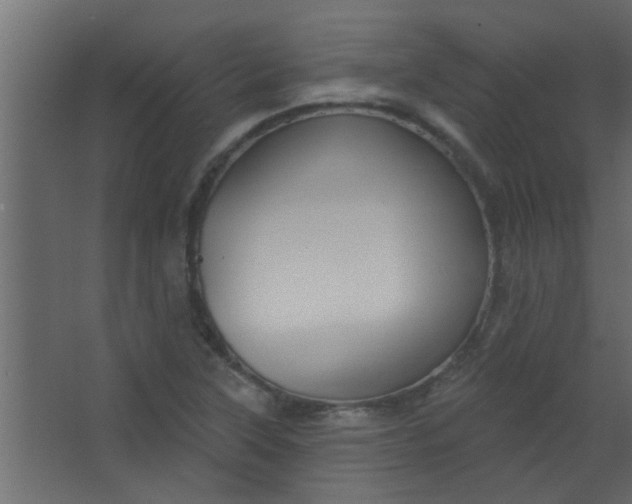 X0000067531315200604211833