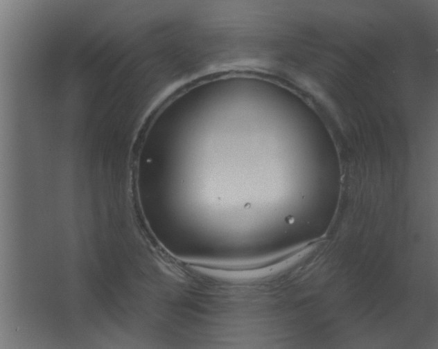 X0000067531316200604211833