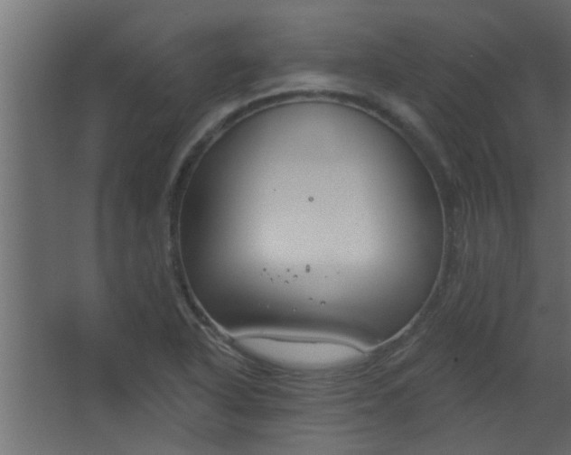 X0000067531318200604211833