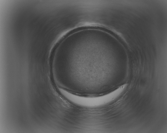 X0000067531319200604211833