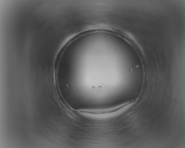 X0000067531320200604211833