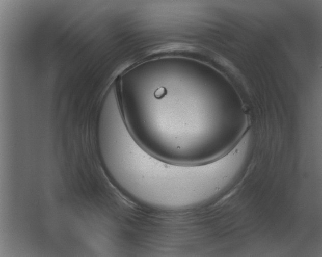 X0000067531321200604211833