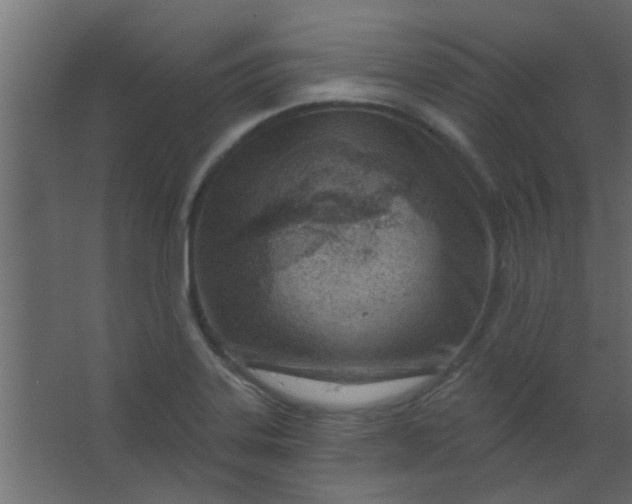 X0000067531323200604211833