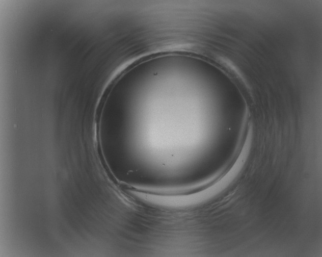 X0000067531324200604211833