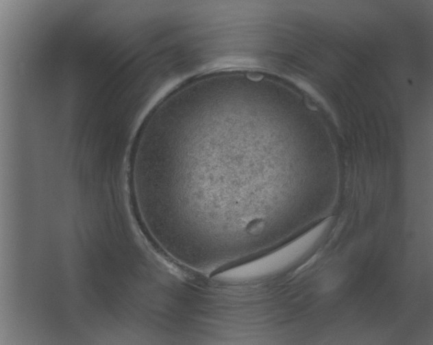 X0000067531325200604211833