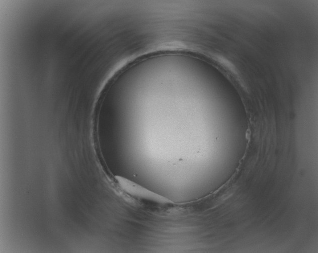 X0000067531326200604211833