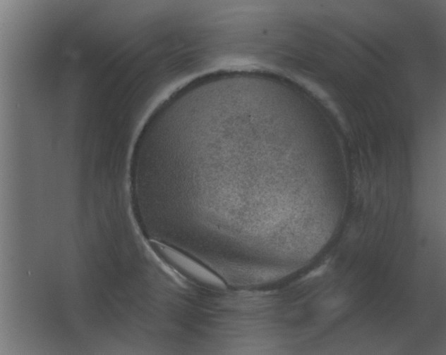 X0000067531327200604211833