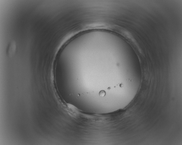 X0000067531328200604211833