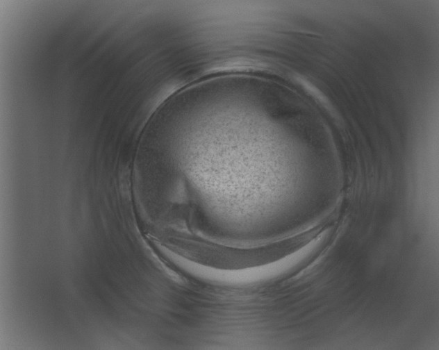 X0000067531329200604211833