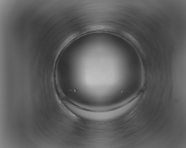 X0000067531330200604211833