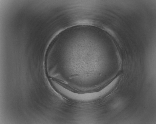 X0000067531331200604211833