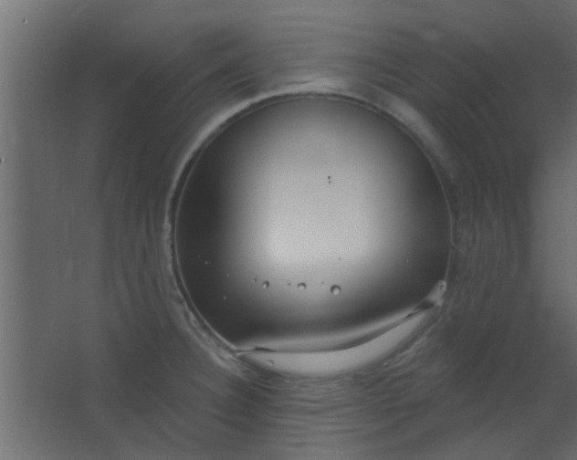 X0000067531332200604211833