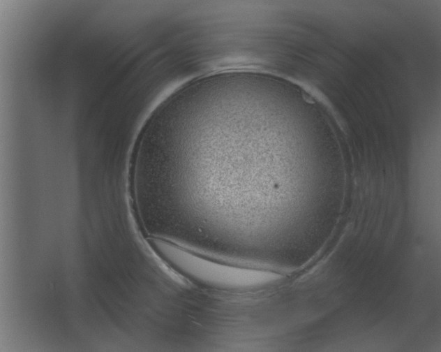 X0000067531333200604211833