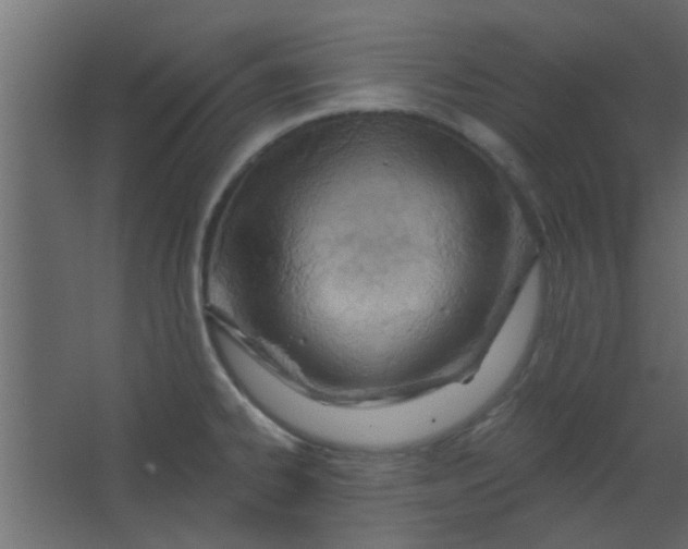 X0000067531334200604211833