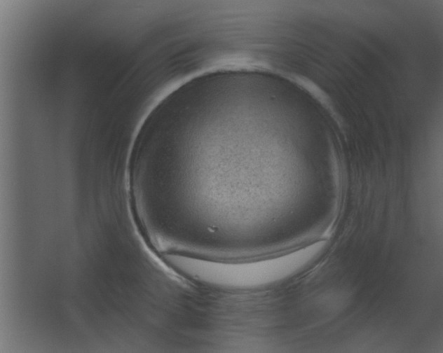 X0000067531335200604211834